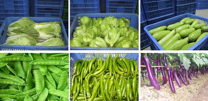 供應(yīng)果蔬質(zhì)量標準演示圖